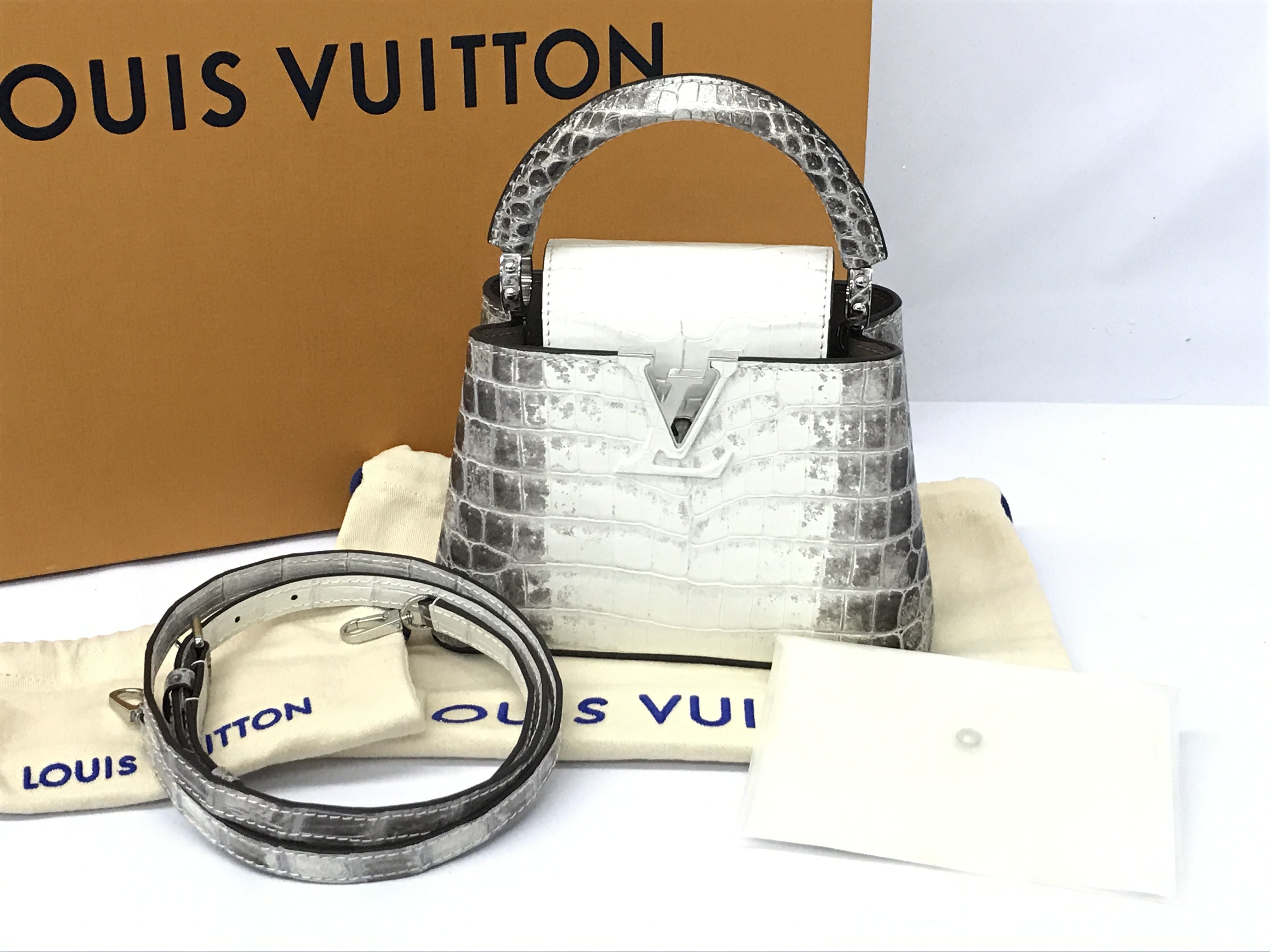 Louis Vuitton CAPUCINES - Review and Size Comparison MINI