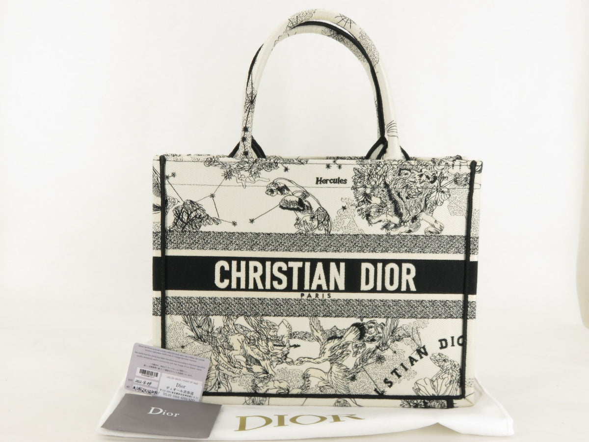 Dior Book Tote Tote Bag