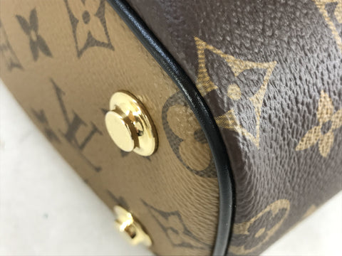 LOUIS VUITTON Monogram Vanity NV PM Brown Monogram Handbag