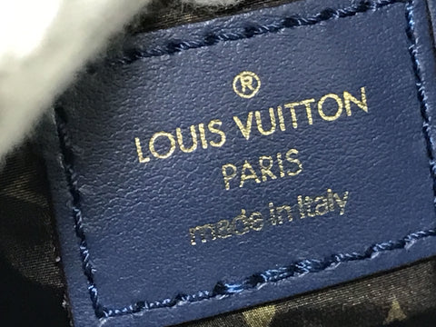 LOUIS VUITTON pillow speedy handbag handbag