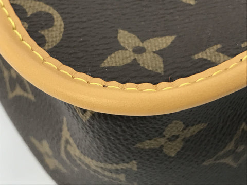 LOUIS VUITTON Monogram Monogram Diane Handbag