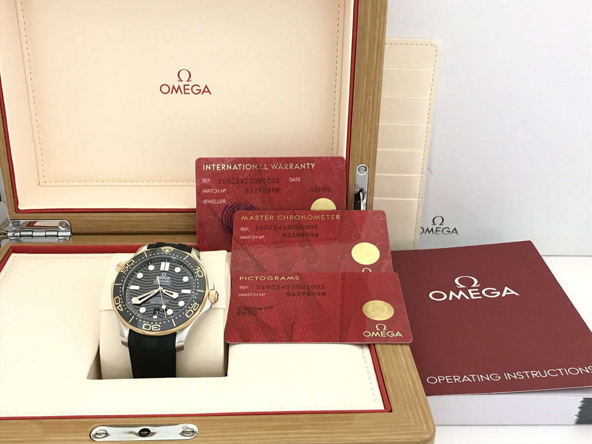 OMEGA Seamaster Seamaster 210.22.42.20.01.002 89298998 Men's watch