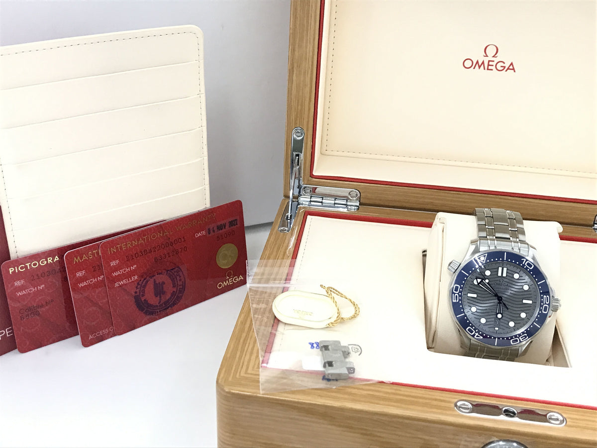 OMEGA Seamaster Seamaster Professional 210.30.42.20.06.001 83312870 Men's watch